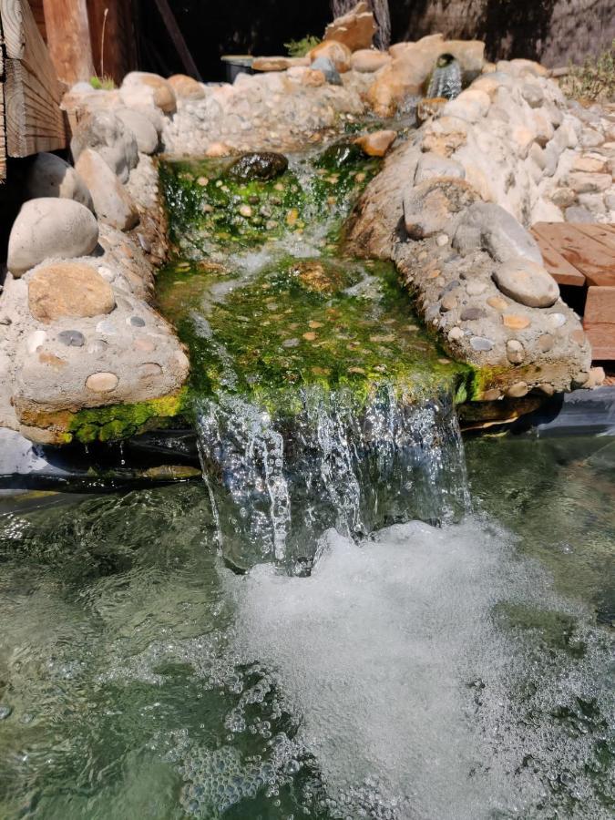 L'etang Des Cigales *