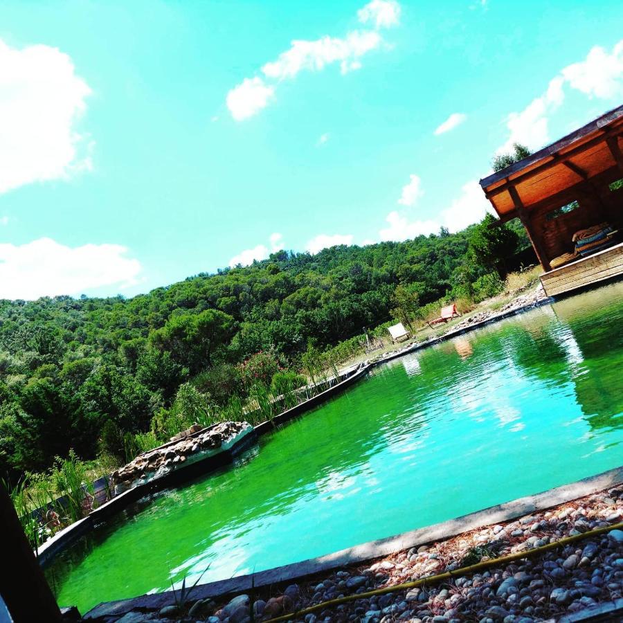 Apartment L'etang Des Cigales *