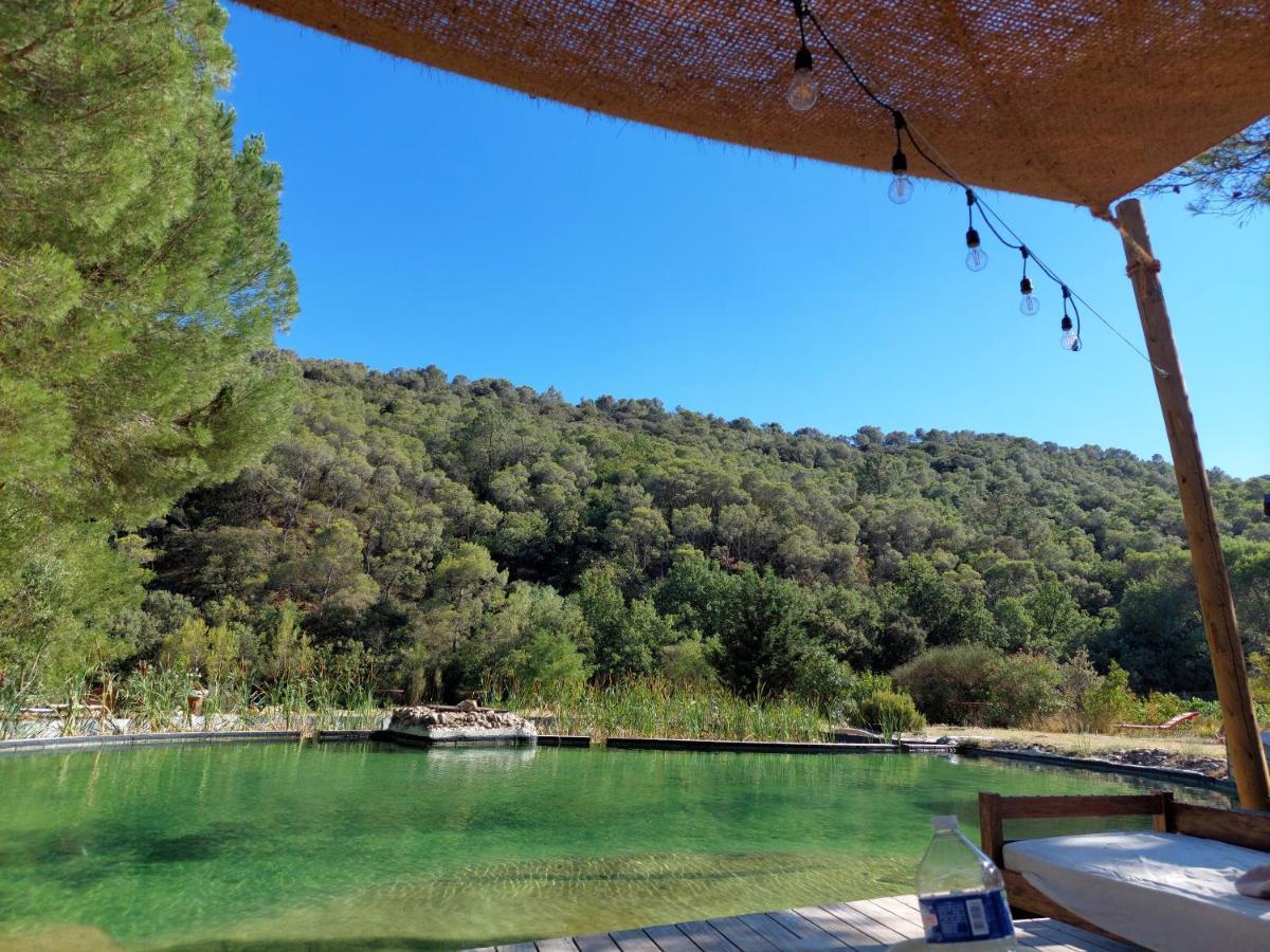 Apartment L'etang Des Cigales